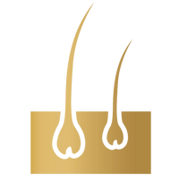 Scalp Reset System